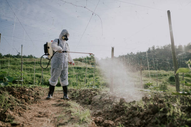 Best Mosquito Control Services  in Princeton, FL
