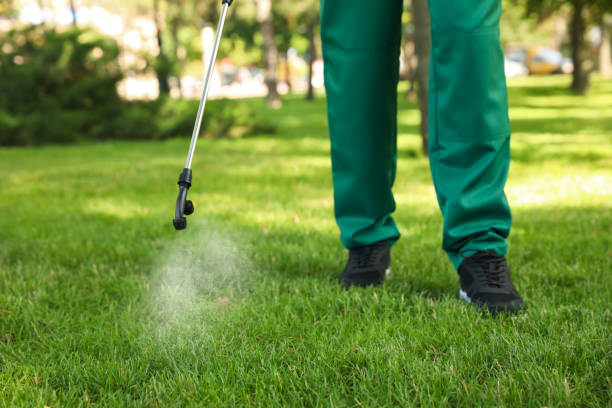 Trusted Princeton, FL Pest Control Experts