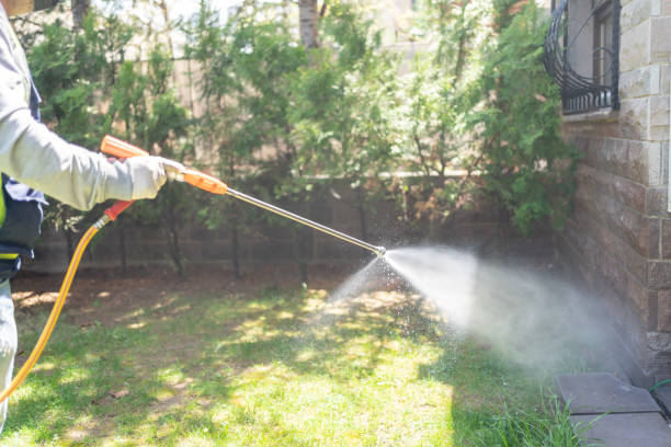 Best Affordable Pest Control Services  in Princeton, FL