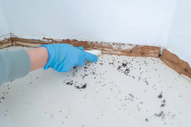 Best Cockroach Control Services  in Princeton, FL